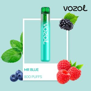 VOZOL Neon 800 Mr Blue