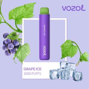 VOZOL Star 2000 Grape Ice